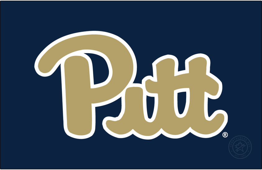 Pittsburgh Panthers 2016-2019 Primary Dark Logo diy iron on heat transfer